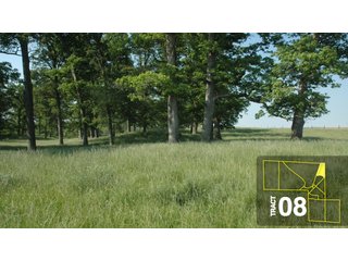 Property photo 39 - Land Auction 458+/- acres in 11 Tracts - Farmland, Woods